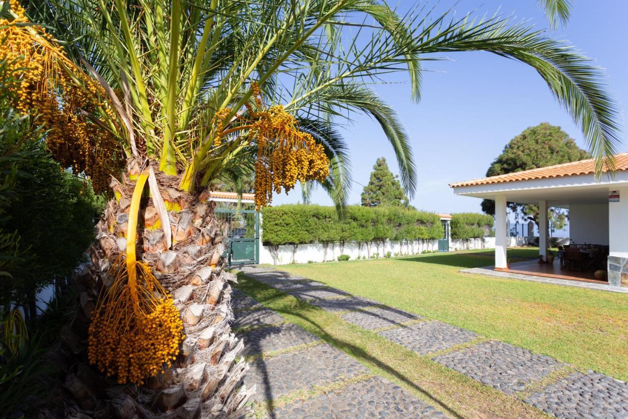 Finca La Vizcondesa Icod De Los Vinos Zewnętrze zdjęcie