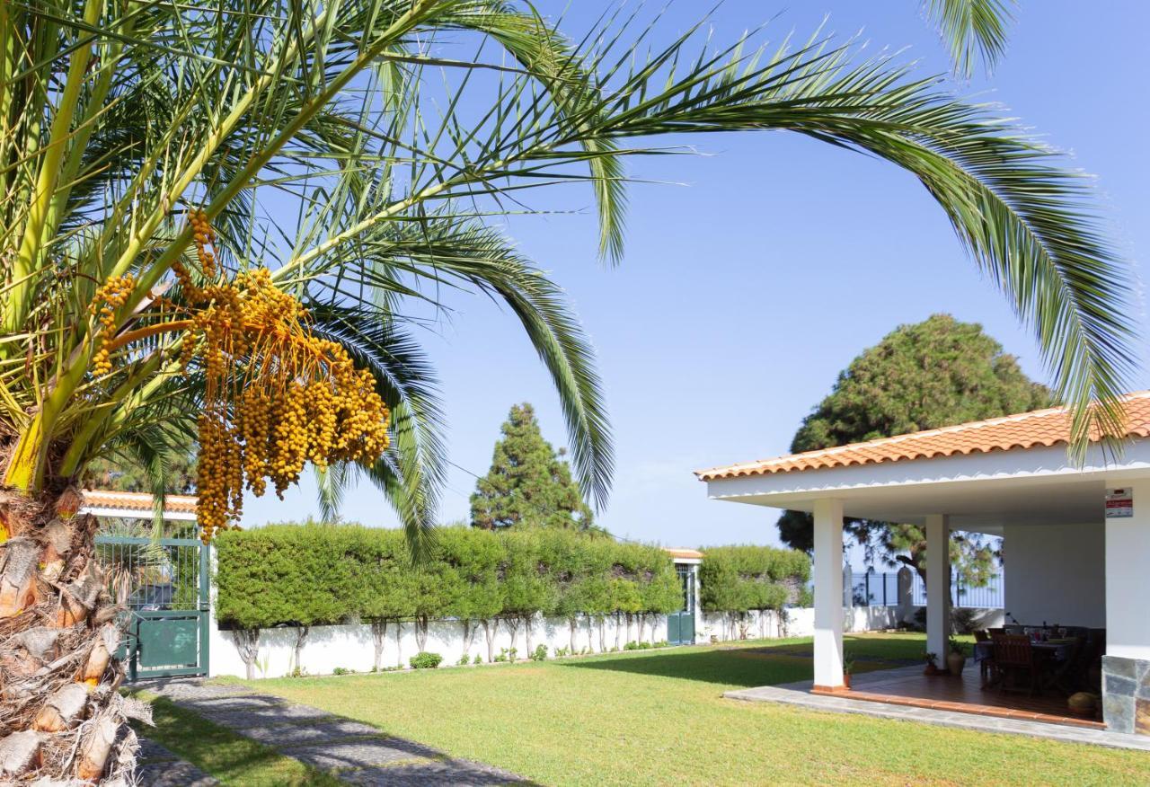 Finca La Vizcondesa Icod De Los Vinos Zewnętrze zdjęcie